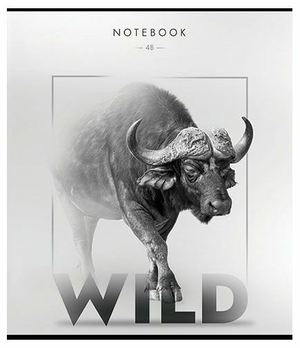 Тетрадь общая ПЗБМ Wild клетка А5, 48 л в ассортименте
