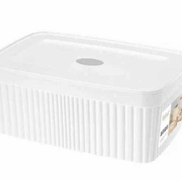 Контейнер для хранения с крышкой Econova VELVET, белый, 23х15х9 см, 2,5л