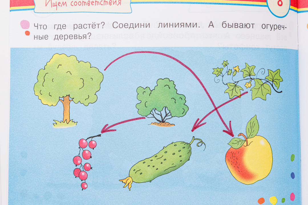 

Умные игры с картинками для малышей "КотоВасия"