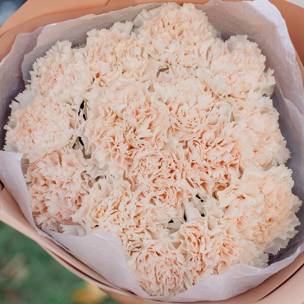 Букет из 15 кремовых гвоздик в кремовой пленке