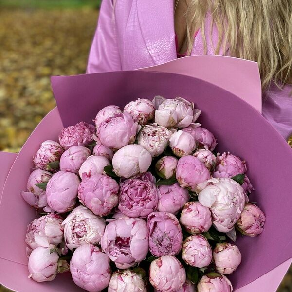 Пионовое наслаждение