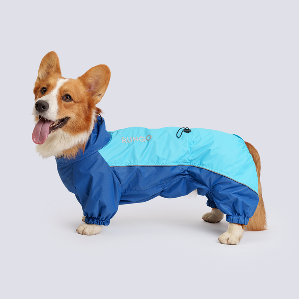 Rungo Дождевик Вельш-корги мальчик голубой неон