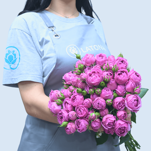 Похожие на пионы розы MISTI bables