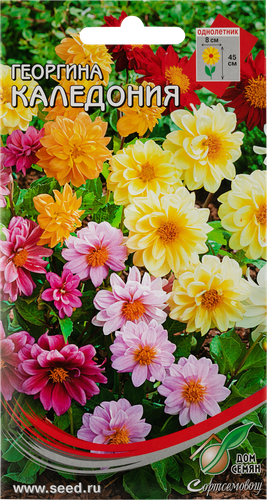 

Семена ДОМ СЕМЯН Георгина Каледония, смесь