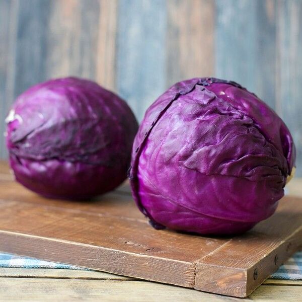 Капуста красная