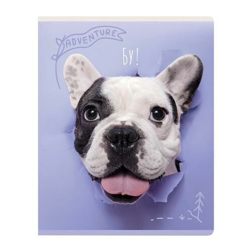 Тетрадь Рельеф-центр А5 Bg Гав-мяу скрепка мелованный картон линия 96л в ассортименте