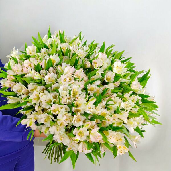 Букет из альстромерии №861