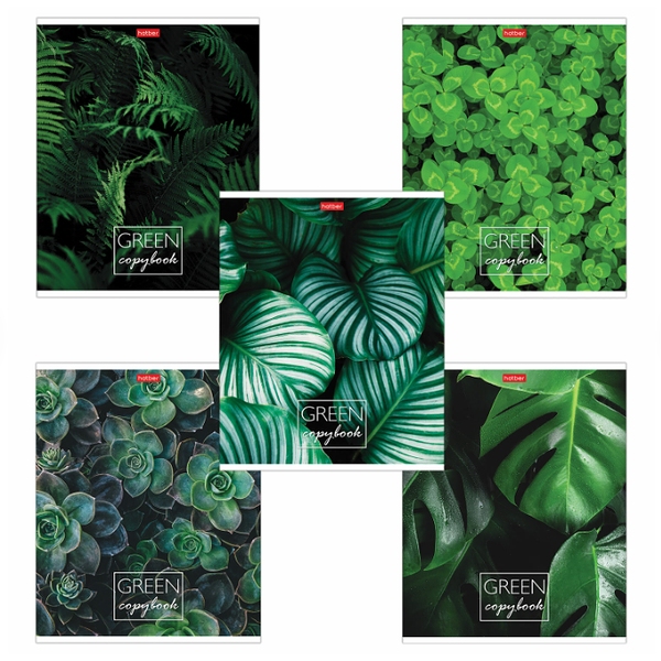 Тетрадь Hatber MoreGreen 96 листов А5 скоба в клетку,1шт в ассортименте