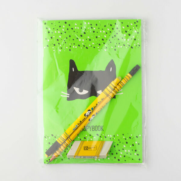 Набор канцелярский (линейка, ручка, тетрадь, карандаш, ластик)