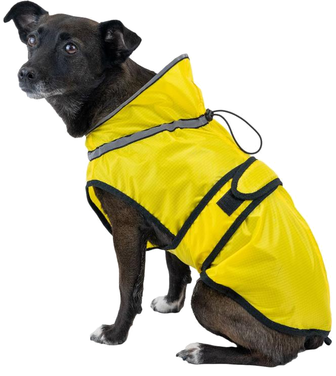 

Дождевик для собак Дарэленд Тропики №6 длина спины 60 см, желтый