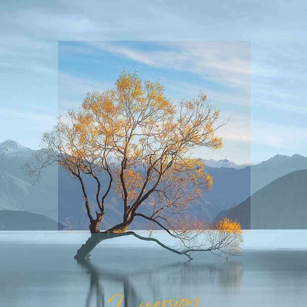 Тетрадь А5 в клетку Hatber Impressions дизайн в ассортименте, 80 листов