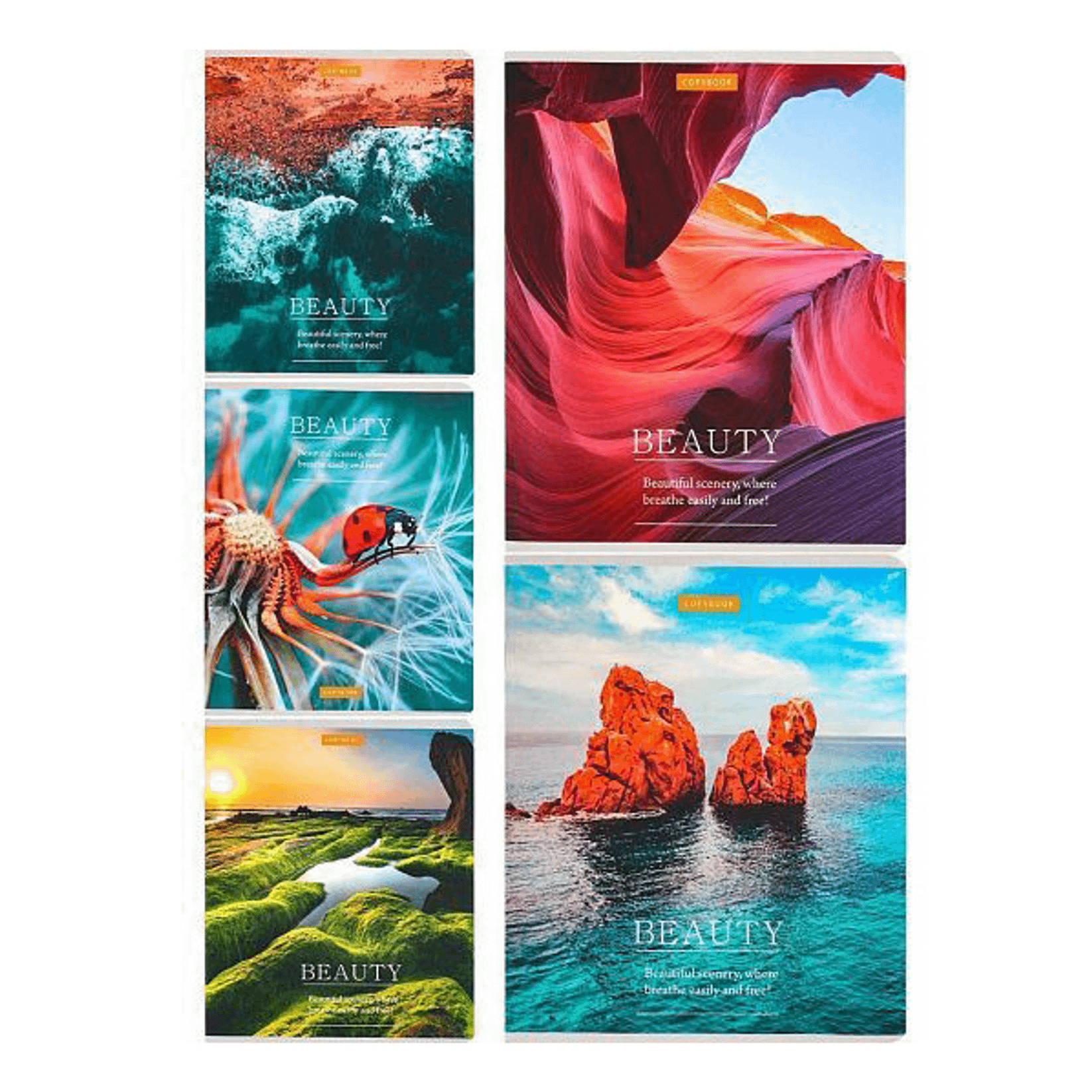 

Тетрадь общая Проф-Пресс Невероятная природа-2 48 листов А5 на скрепке в клетку в ассортименте