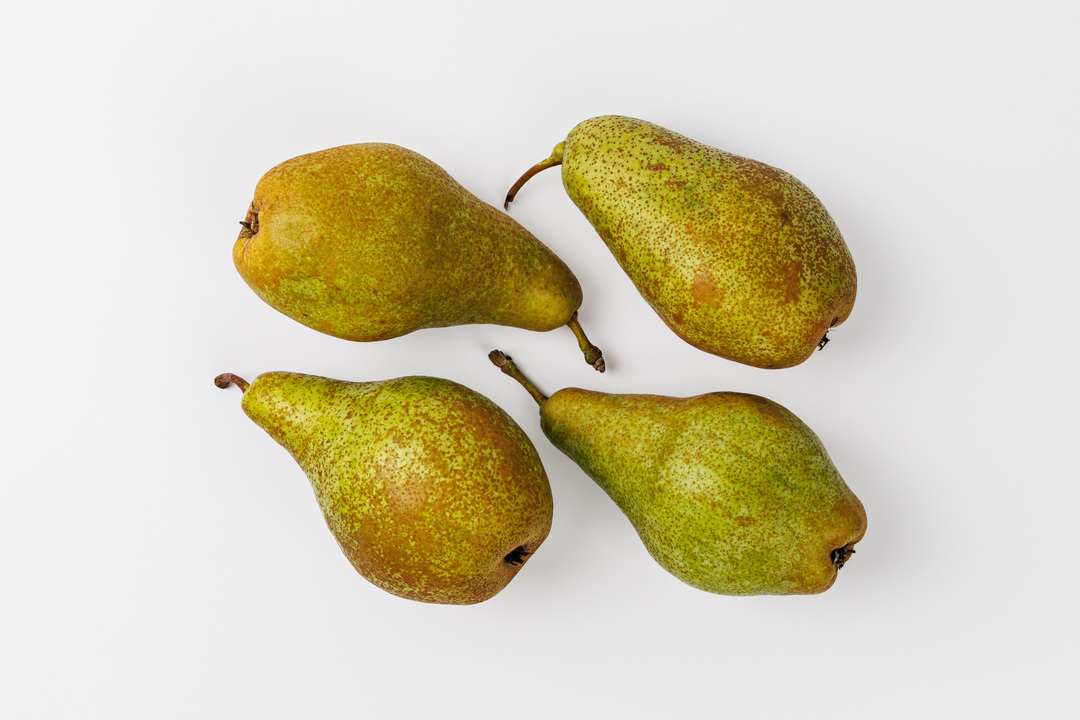 

Груша Ксения весовая