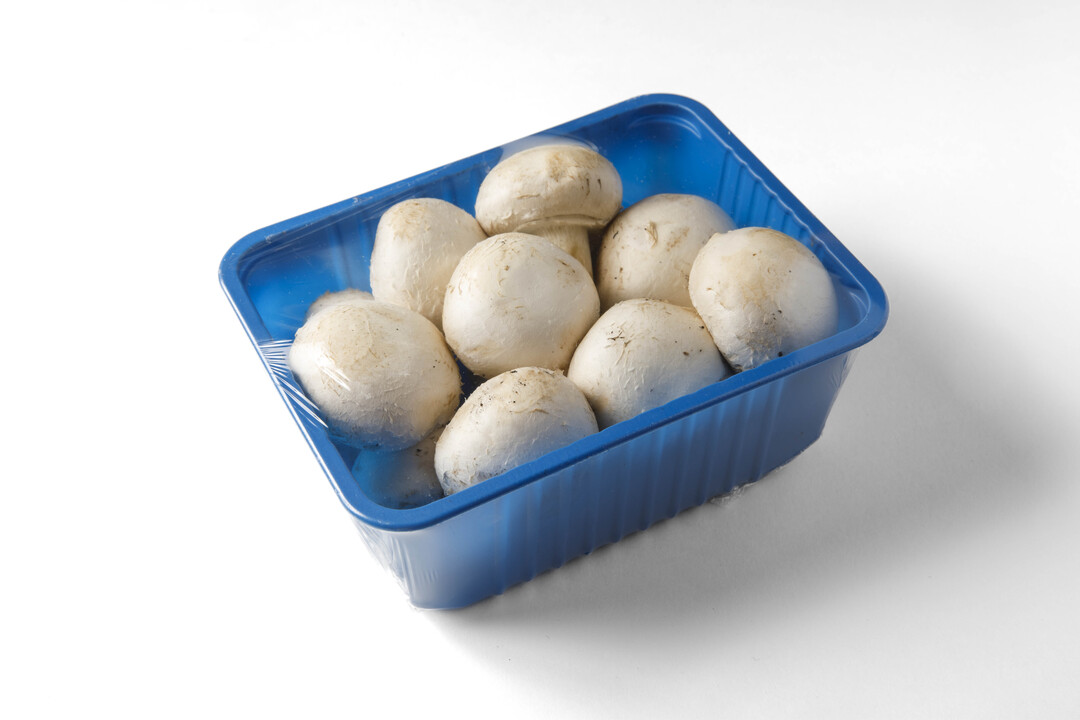 

Грибы Шампиньоны Вкусвилл, 400 г