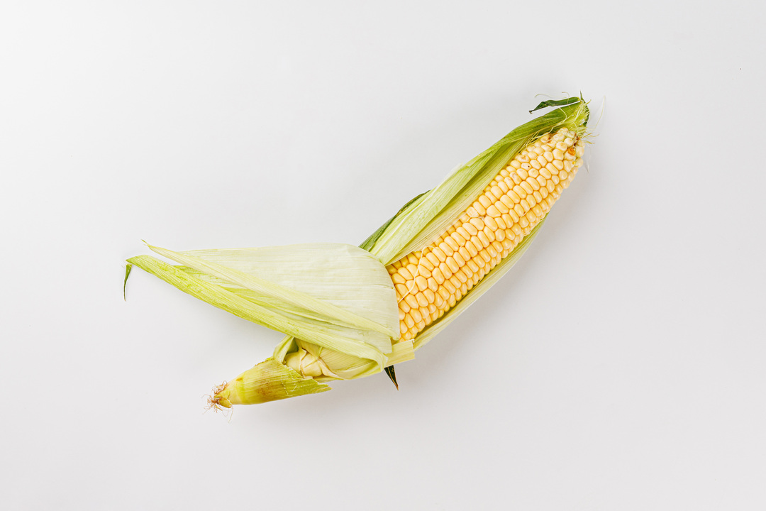 

Кукуруза свежая 1 шт. 200 г