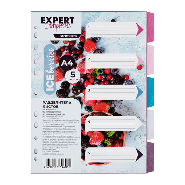 Разделитель листов Expert Complete А4, 5 шт