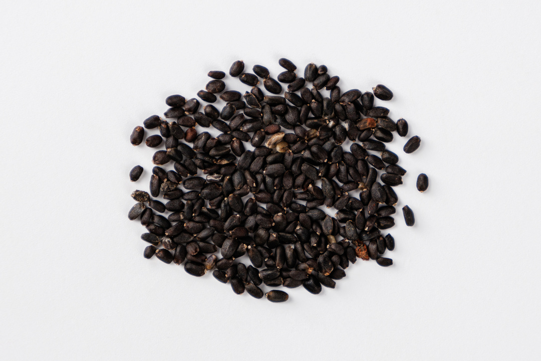 

Смесь семян Базилик зеленый и фиолетовый 4 г