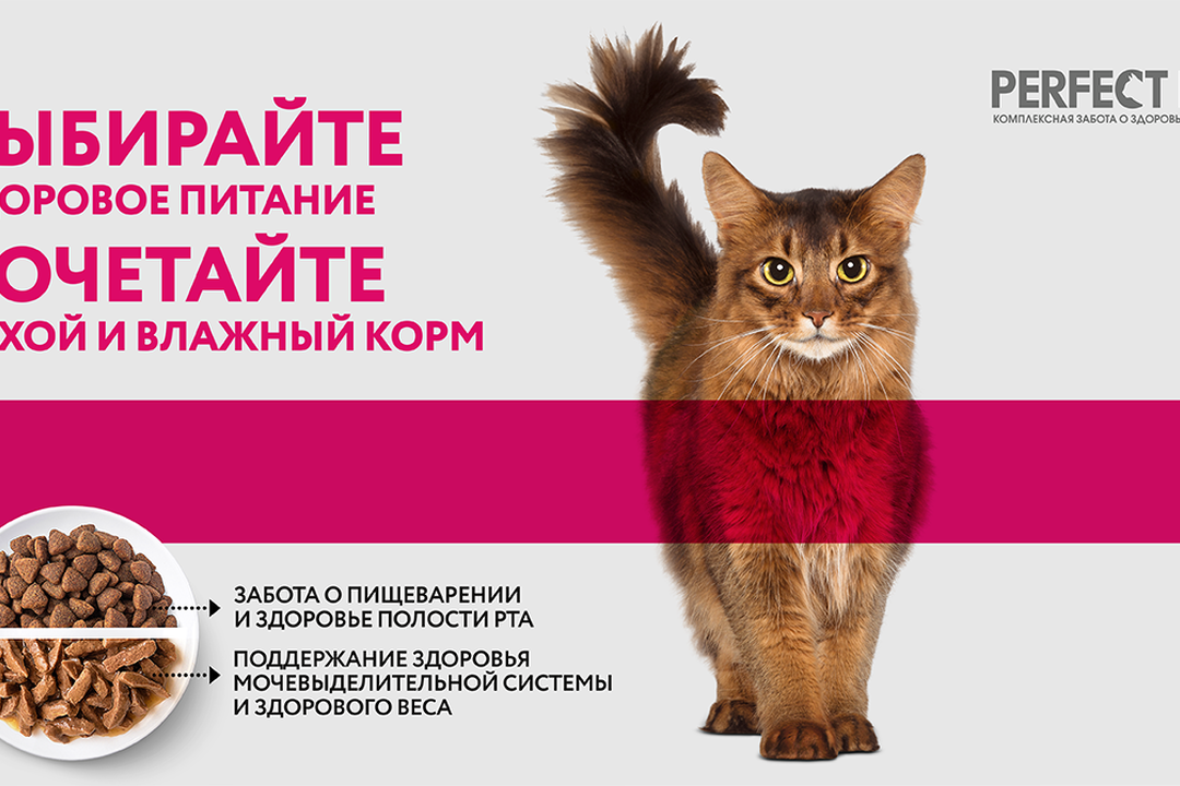 

Влажный корм Perfect Fit с курицей в соусе для котят от 1 до 12 месяцев 75 г