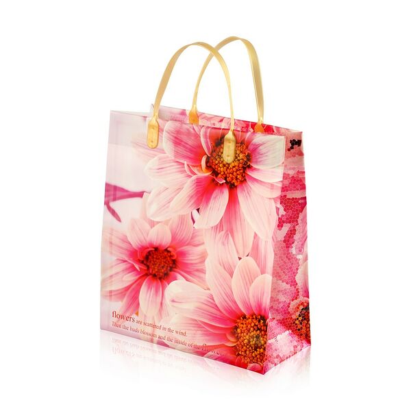 Пакет подарочный 23*26*10см