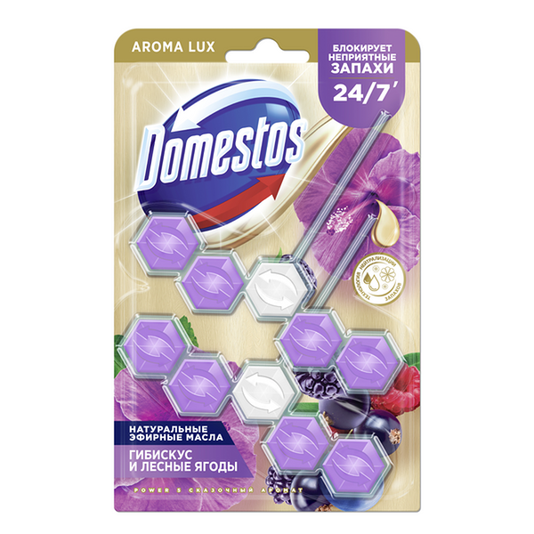 Блок для унитаза DOMESTOS Power 5 duo Сказочный аромат 2 × 50 г