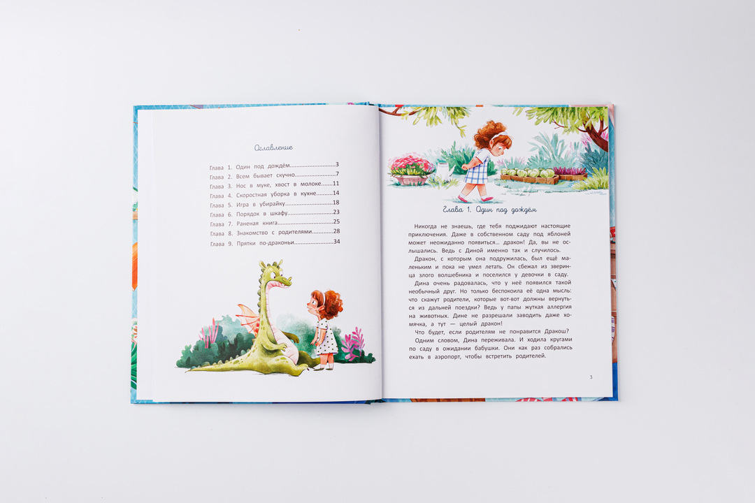 

Книжка Дина и Дракоша наводят порядок