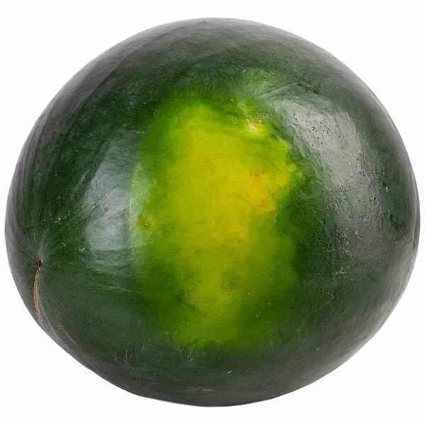 Арбуз Черный принц без косточек отечественный вес