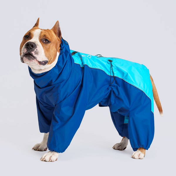 Rungo Дождевик Стаффорд Терьер мальчик голубой неон