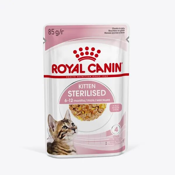 Влажный корм Royal Canin Kitten Sterilised для котят (кусочки в желе) Мясо 85г