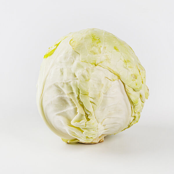 Капуста молодая новый урожай вес