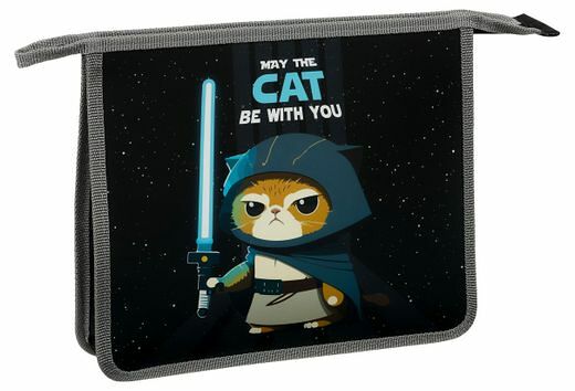 Папка для тетрадей ArtSpace Cat with you 1 отделение А5 пластик на молнии