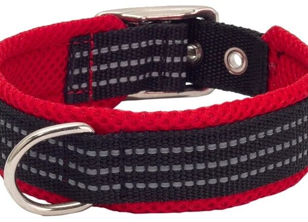 Ошейник Каскад нейлоновый с мягкой подкладкой красный 27-35 см