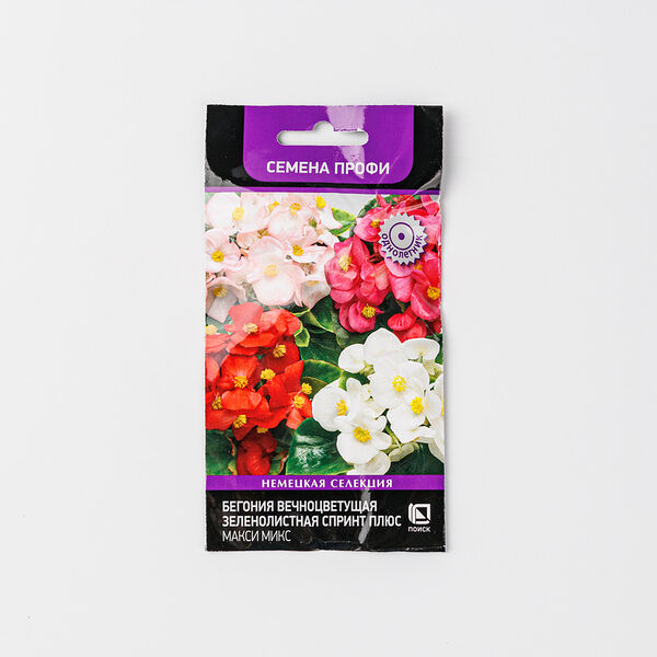 Семена Бегония 