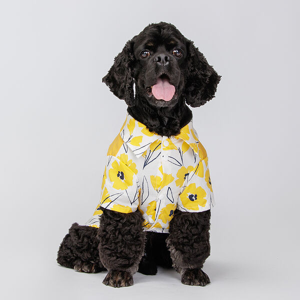 Футболка Petmax с желтыми цветами 4XL