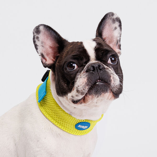 Ошейник охлаждающий для собак и кошек, L, салатовый