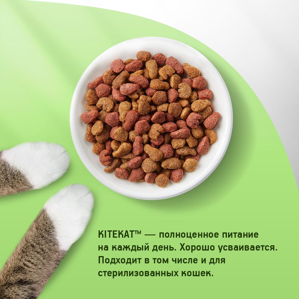 

Сухой полнорационный корм Kitekat для взрослых кошек Мясной пир 350 г