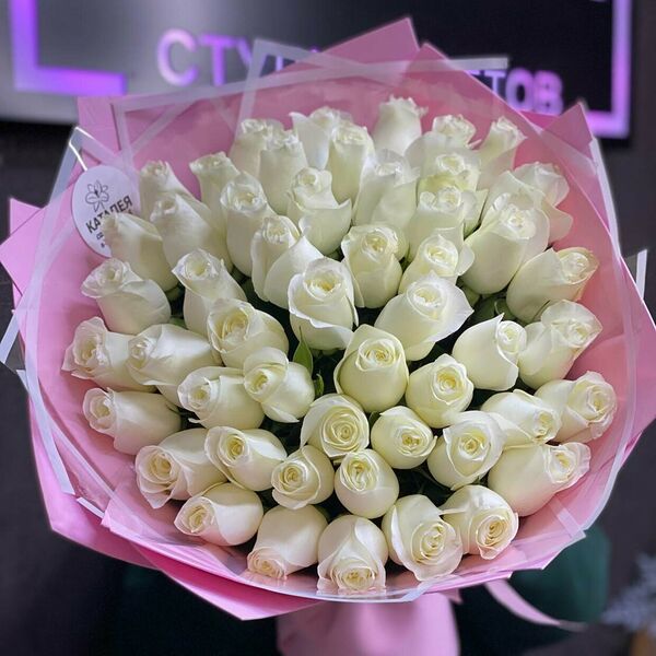 51 белая роза