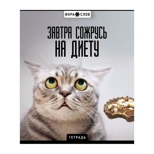 Тетрадь ПЗБМ общая А5 Икра слов-2 скрепка клетка 96л в ассортименте