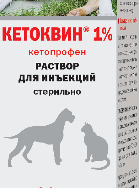 Раствор для инъекций Кетоквин 1% 10 мл АВЗ 494953