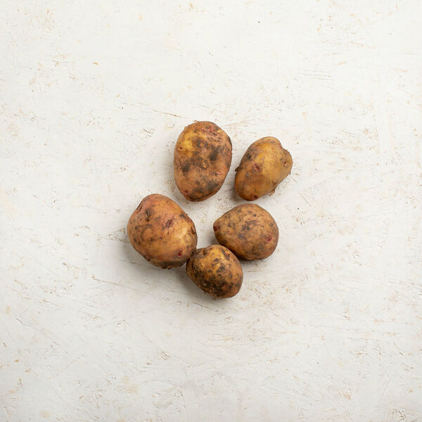 Картофель Синеглазка