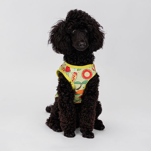 Футболка Rurri желтая с принтом M