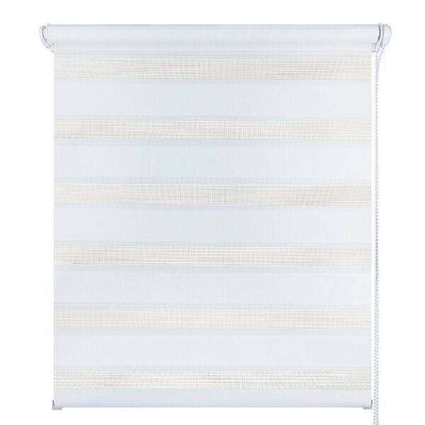 Штора рулонная День-Ночь, 47х160см, снежно-белый