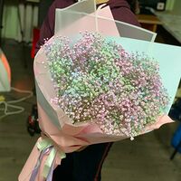 Изображение 5