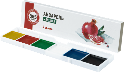 

Акварель медовая 365 ДНЕЙ 6 цветов