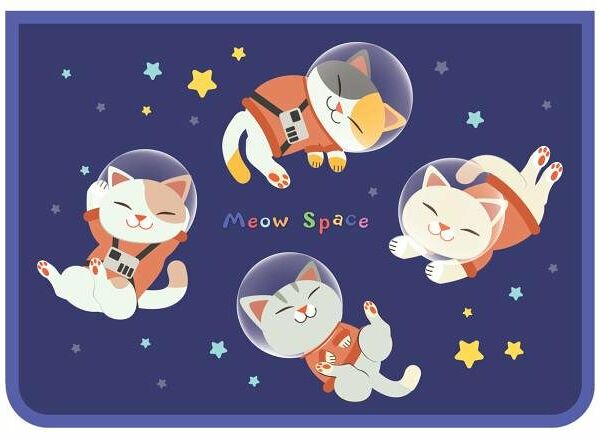 Папка для труда ArtSpace Space cat 2 отделения А4 пластик на молнии