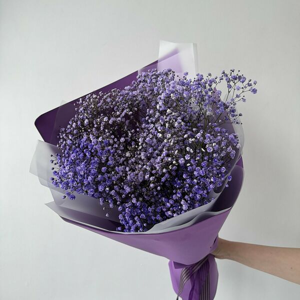 Букет из фиолетовой гипсофилы mini