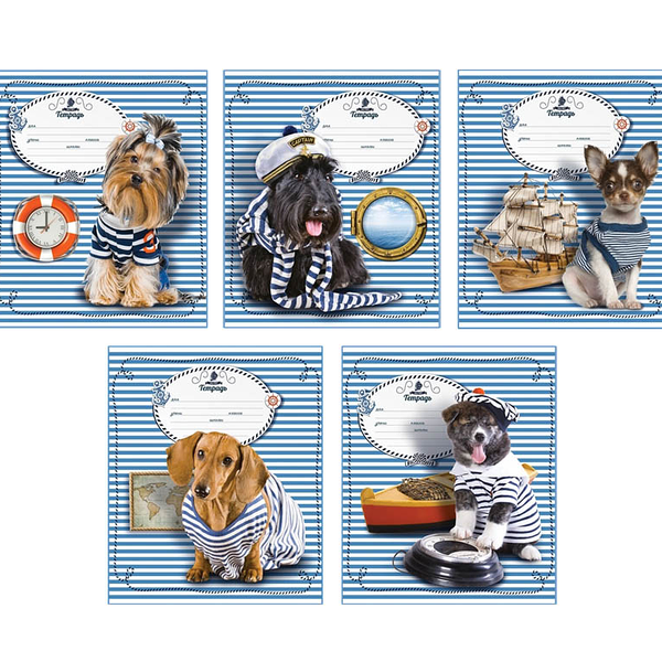 Тетрадь Magic Lines Морячок линейка формат А5 18 листов в ассортименте 1шт