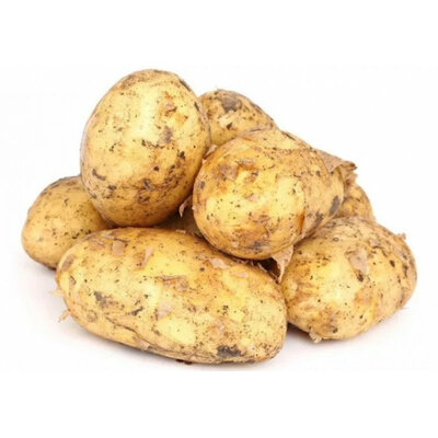 Картофель Гала