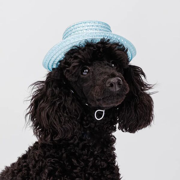 Шляпка Rurri 14,5см голубая