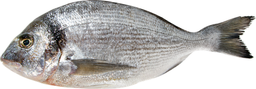 

Дорадо непотрошеная свежемороженая 1 шт., вес