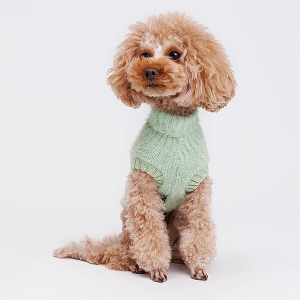 Свитер для кошек и собак, XL, зеленый